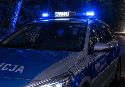 Nocne „grzybobranie” zakończyło się zatrzymaniem. Policja znalazła marihuanę i amfetaminę