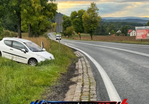 Kierująca straciła panowanie nad samochodem. Peugeot wypadł z drogi w Mysłowie