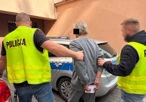 Seria pożarów w Nałęczowie. Podpalaczem okazał się 71-latek, mężczyzna trafił do aresztu