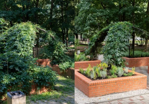 Finał akcji GROW & WOW w Koszalinie – nowy park sensoryczny od InPost for Cities i wyczyszczony Stadion ABC