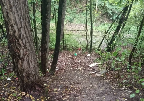 Dzikie wysypisko posprzątane. Sprawca sam się zgłosił po naszej interwencji