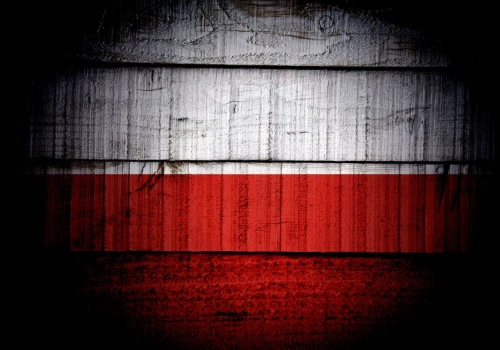 Marsz niepodległości we Lwowie? Jest interpelacja posłów PiS, Konfederacji i Rozwoju Plus. „Nie ma lepszego prezentu dla Putina”