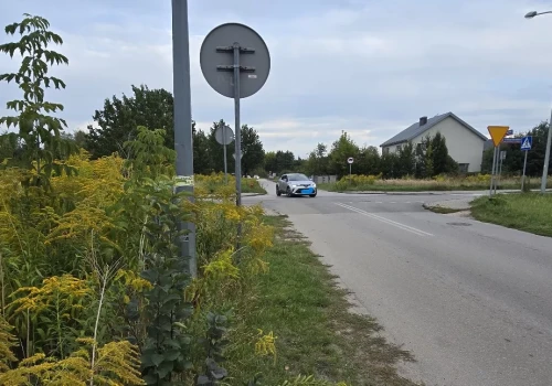 Jadą „na czuja”, bo krzaki zasłaniają widoczność. Chodzi m.in. o skrzyżowanie ul. Królowej Jadwigi i Bpa Mazura w Siedlcach