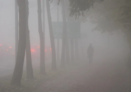 Gęsta mgła nad Nowym Sączem i Sądecczyzną. Widoczność może spaść poniżej 200 metrów