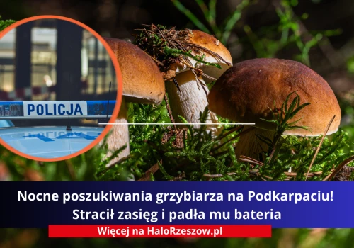 Nocne poszukiwania grzybiarza na Podkarpaciu! Stracił zasięg i padła mu bateria