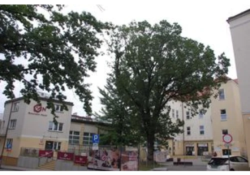 Festiwal klocków Brickowisko w Generatorze Nauki GEN w Jaśle. Dwudniowe bezpłatne warsztaty i pokazy nie tylko dla dzieci