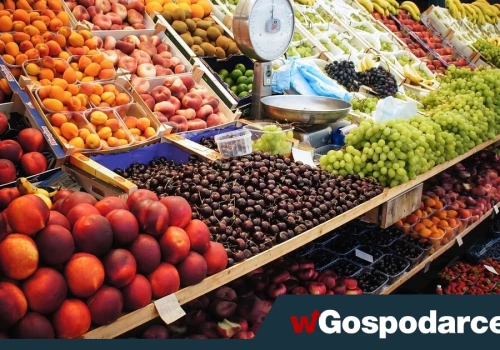 Jak czytać oznaczenia na owocach i warzywach?
