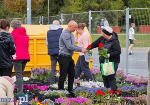 Coś zielonego w zamian za śmieci. Zbliża się akcja Ekologia za sadzonkę
