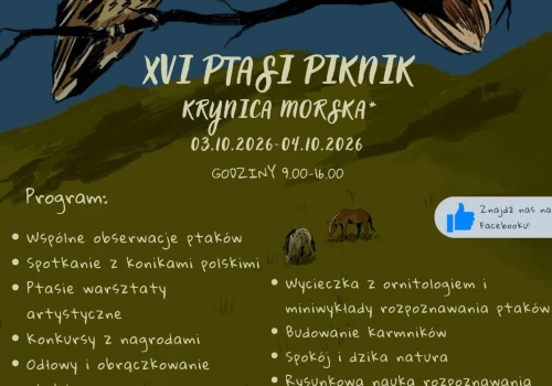 XVI Ptasi Piknik w Krynicy Morskiej