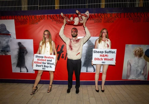 PETA znów przejęła wybieg. Pokaz H&M przerywano aż trzy razy