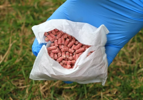 Ceny pelletu nie spadną, a do pieców trafi zboże? Rząd wprowadza takie normy
