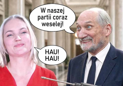 Szpak: Macierewicz dawno powinien siedzieć, a jest nietykalny! Polska stacza się w kierunku świrów