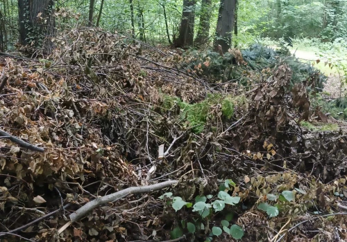 Wywrotka bioodpadów w lesie. Leśnicy przypominają: to też są niedozwolone śmieci