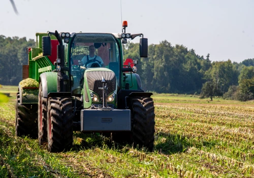 Ceny skupu spadają, a dochód z hektara rośnie. GUS podał nową kwotę
