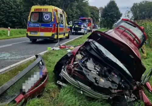 Wypadek na drodze wojewódzkiej nr 521. Utrudnienia na trasie Iława – Susz
