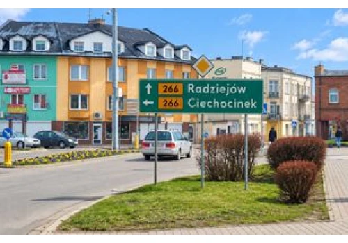 Aleksandrów Kujawski. Trzy projekty powalczą o pieniądze z budżetu obywatelskiego