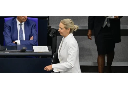 Reemigracja według AfD. Kto ma prawo zostać w Niemczech?