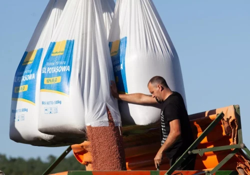 15–20% mniej fosforu i potasu pod zboża? Kiedy taka oszczędność ma sens?