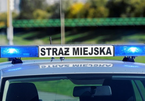 Straż miejska dostała szersze uprawnienia. Mandat może sięgnąć nawet 3000 zł