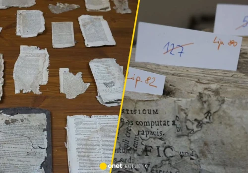 Kurzyły się na strychu plebanii. Najstarszy z nich ma ponad 400 lat