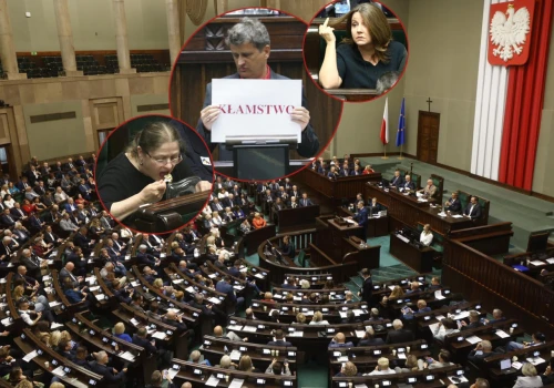 Awantury, szczekanie, prowokacje i pyskówki. Oto posłowie bez hamulców