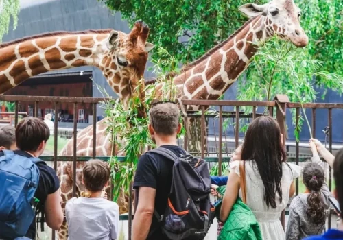 Ponad 850 tysięcy odwiedzin we wrocławskim zoo. Ogród podsumował sezon letni