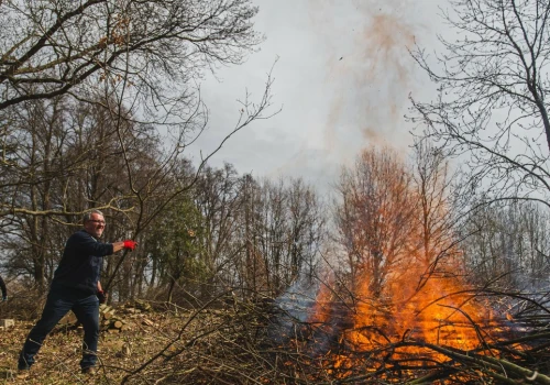 Palisz gałęzie na swojej działce? Możesz zapłacić za to nawet 5 tys. zł