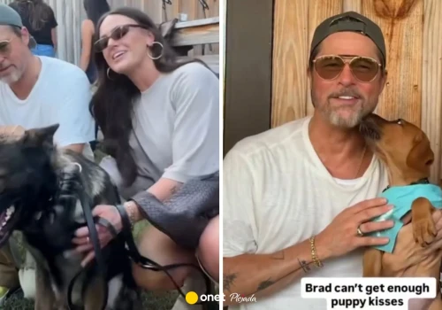Nie tylko premiera filmu. Brad Pitt znalazł czas dla psów czekających na dom