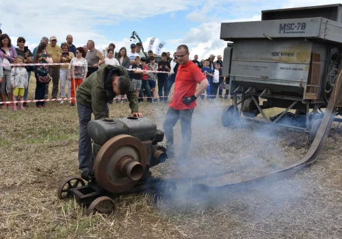 Stara młocarnia poszła w ruch. Tak wyglądała praca na wsi przed laty