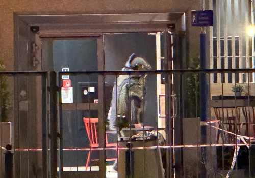Zostawił zaplombowany plecak na stacji paliw. Do akcji weszli kontrterroryści. Zatrzymany 23-latek