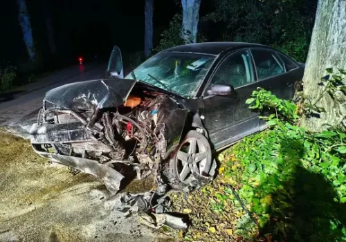 Nocny manewr zakończony na drzewie. Kierowca Audi chciał uniknąć zderzenia z sarną