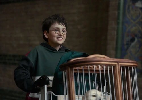 Harry Potter - Hans Zimmer o muzyce w serialu. Będzie zupełnie inna niż w filmach?