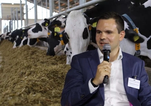 Stracili 49% gospodarstw mlecznych – mimo to produkują więcej mleka