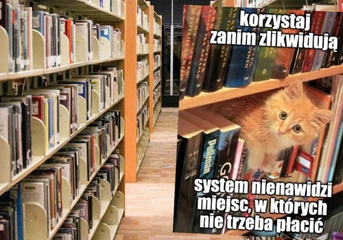 Badanie: biblioteki wracają do łask, czytelnictwo rozwija się szczególnie w młodym pokoleniu