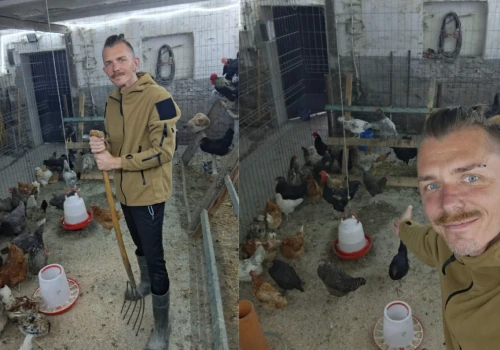 Mają 60 kur i są znani w całej Polsce. Problem zmienił się w szansę na rozwój gospodarstwa