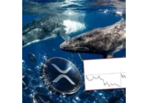 1,6 mld XRP trafiło na Binance. Wieloryby szykują ruch na 2 USD?