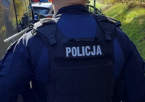 Truchło psa na osiedlu. Ktoś go wyrzucił z czwartego piętra?