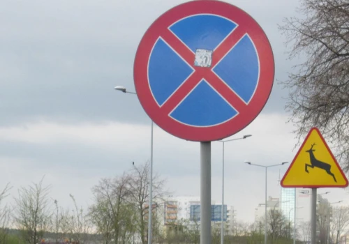 Stoisz tylko 5 minut? Przy tym znaku i tak łamiesz przepisy, dostaniesz mandat i punkty