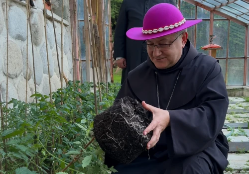Pomidory biskupa za 1000 zł. Aukcja wspiera chorego chłopca