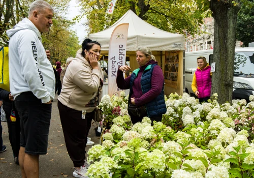 Kolorowo, pachnąco i smacznie na Wałach Chrobrego