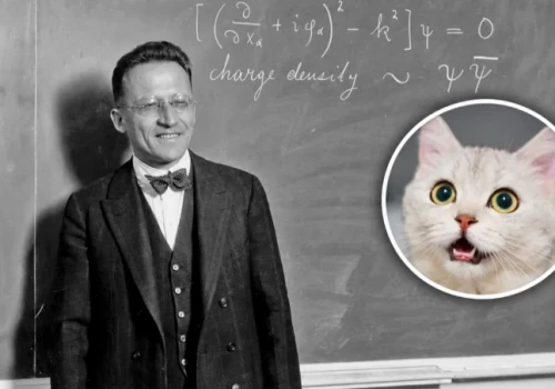 Słynny kot przysłonił mroczną stronę noblisty. Schrödinger wykładał we Wrocławiu