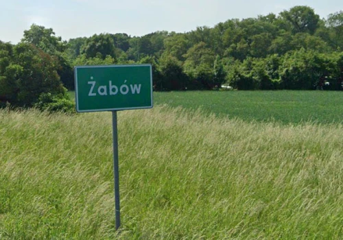 W Żabowie powstanie nowe miejsce rekreacji. Gmina chce postawić wiatę, ławki i kosze