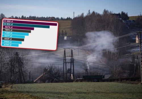 Czym najtaniej ogrzać dom tej zimy? Nowe ceny z 32 składów opału
