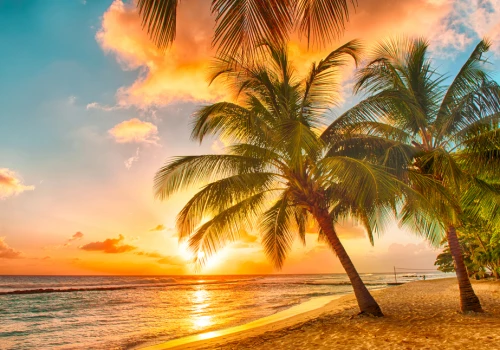 Pakuj klapki, lecimy na Karaiby! 🩴🏴‍☠️ Tydzień na Barbadosie za 2720 PLN 🌴 Loty + apartament