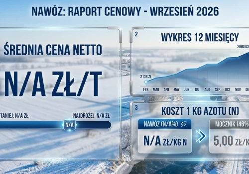 Mocznik po 2611 zł i po 3333 zł. Tak różnią się ceny w Polsce