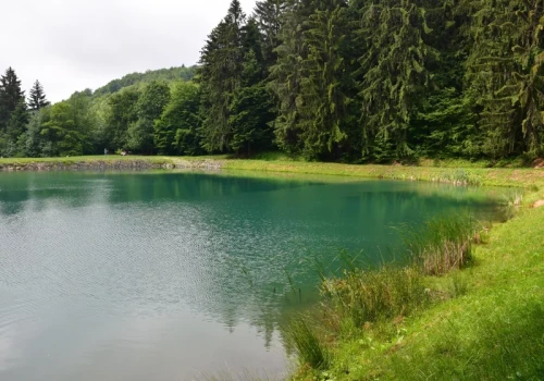 Słowacka perła z listy UNESCO zachwyca nie tylko zabytkami. Tuż obok leży niezwykłe lazurowe jezioro