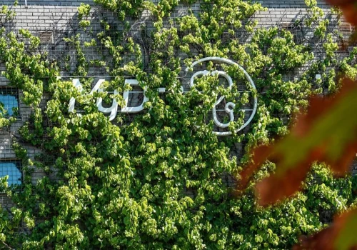 Wyciek danych pacjentów z MyDr. Tysiące skarg i wezwania do zapłaty
