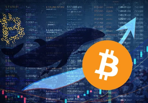 Wieloryb przenosi setki BTC po 14 latach uśpienia. Dlaczego właśnie teraz?