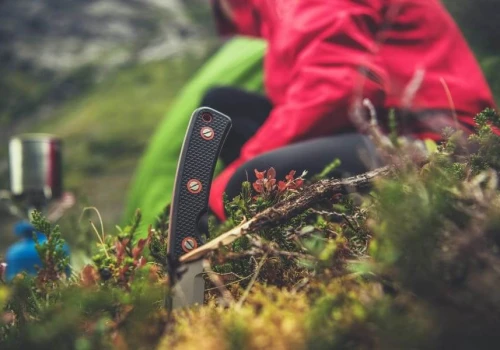 Ranking tanich i dobrych noży survivalowych