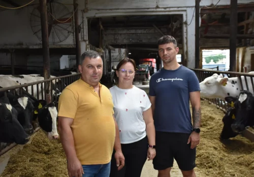 Dwie stare opony i minuta pracy. Rolnicy zrobili prostą maszynę niemal za darmo